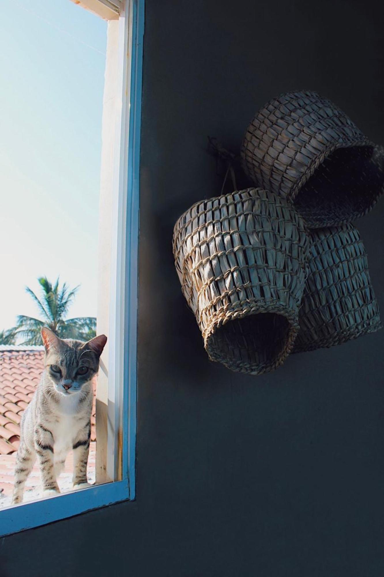 Inn Uru Jijoca de Jericoacoara
